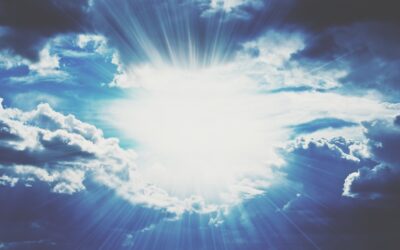 Processed with VSCO with t1 preset